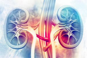Kidney/ Renal Function Test