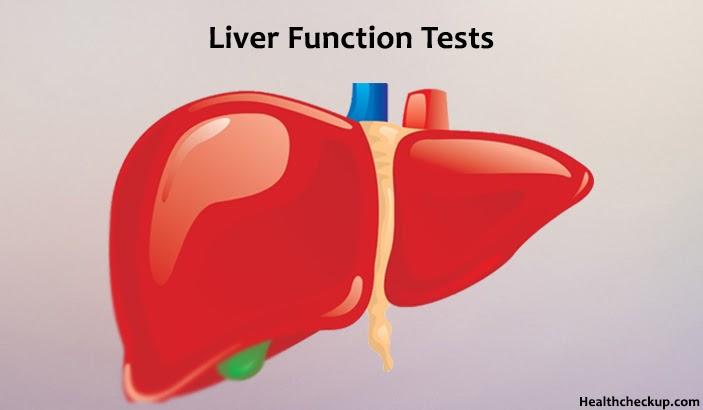 Liver/ Hepatic Function Test