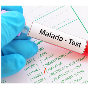 Malaria Rapid Test
